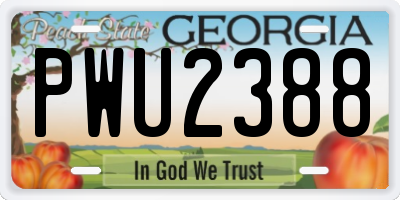 GA license plate PWU2388