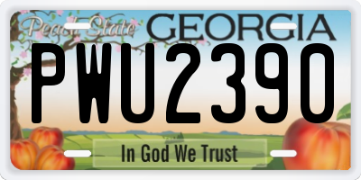 GA license plate PWU2390