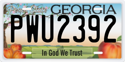 GA license plate PWU2392