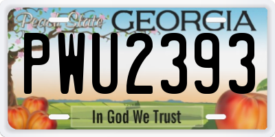 GA license plate PWU2393