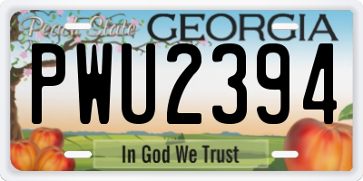 GA license plate PWU2394