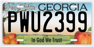 GA license plate PWU2399