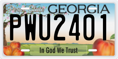 GA license plate PWU2401