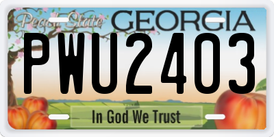 GA license plate PWU2403