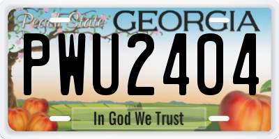GA license plate PWU2404