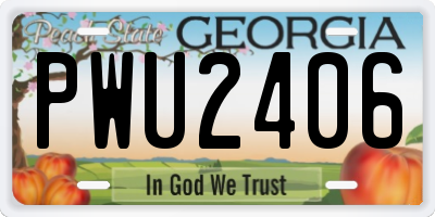GA license plate PWU2406