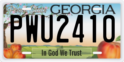 GA license plate PWU2410