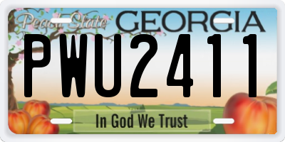 GA license plate PWU2411