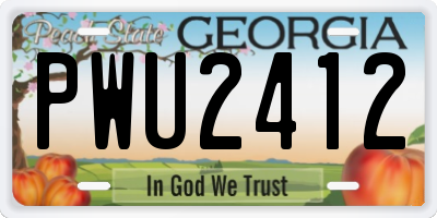 GA license plate PWU2412