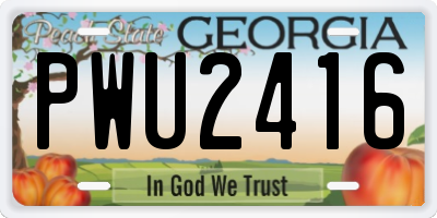 GA license plate PWU2416