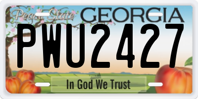 GA license plate PWU2427