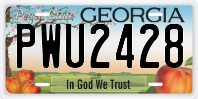 GA license plate PWU2428