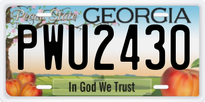 GA license plate PWU2430