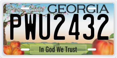 GA license plate PWU2432