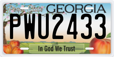 GA license plate PWU2433