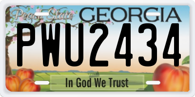 GA license plate PWU2434