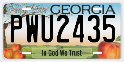 GA license plate PWU2435