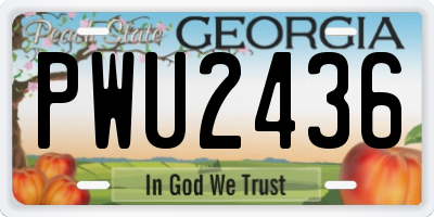 GA license plate PWU2436