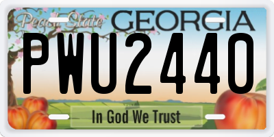 GA license plate PWU2440