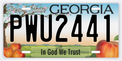 GA license plate PWU2441