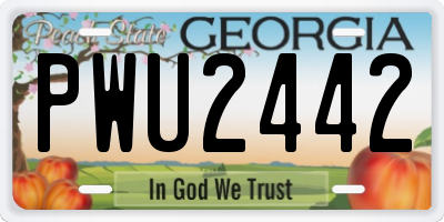 GA license plate PWU2442