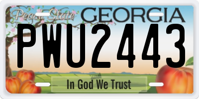 GA license plate PWU2443