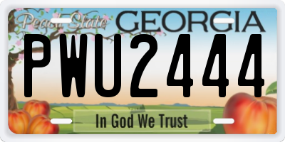 GA license plate PWU2444