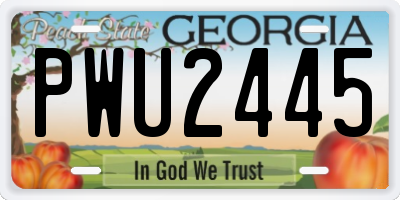 GA license plate PWU2445