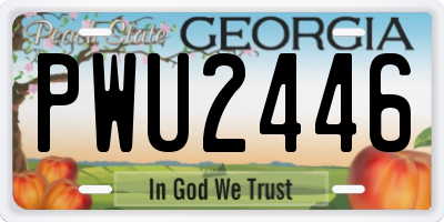 GA license plate PWU2446
