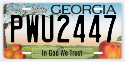 GA license plate PWU2447