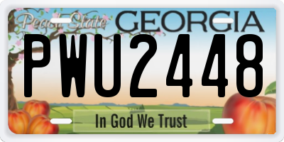 GA license plate PWU2448