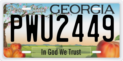 GA license plate PWU2449