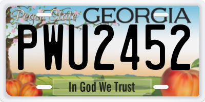 GA license plate PWU2452