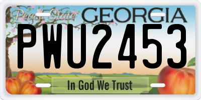 GA license plate PWU2453