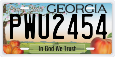 GA license plate PWU2454