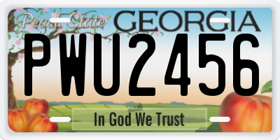 GA license plate PWU2456