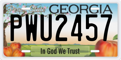 GA license plate PWU2457