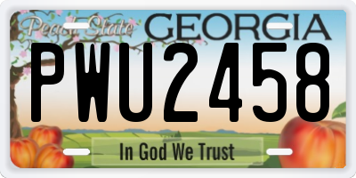 GA license plate PWU2458
