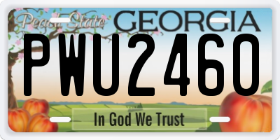 GA license plate PWU2460