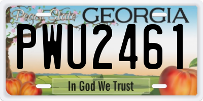 GA license plate PWU2461