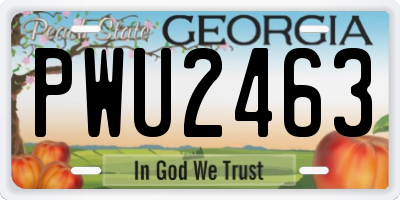GA license plate PWU2463