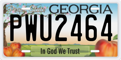 GA license plate PWU2464