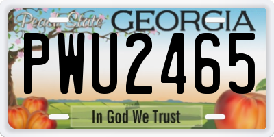 GA license plate PWU2465