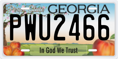 GA license plate PWU2466