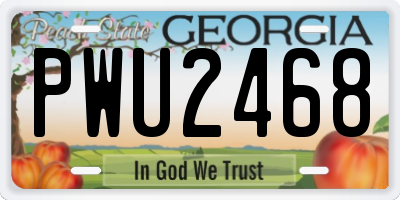 GA license plate PWU2468