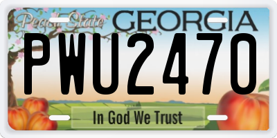GA license plate PWU2470