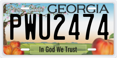 GA license plate PWU2474