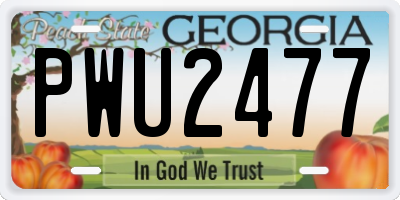 GA license plate PWU2477