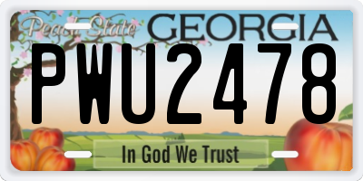 GA license plate PWU2478