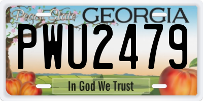 GA license plate PWU2479